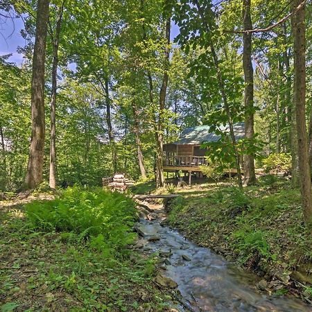 Creekside Cabin With Deck In Pisgah Forest! Barnardsville Ngoại thất bức ảnh