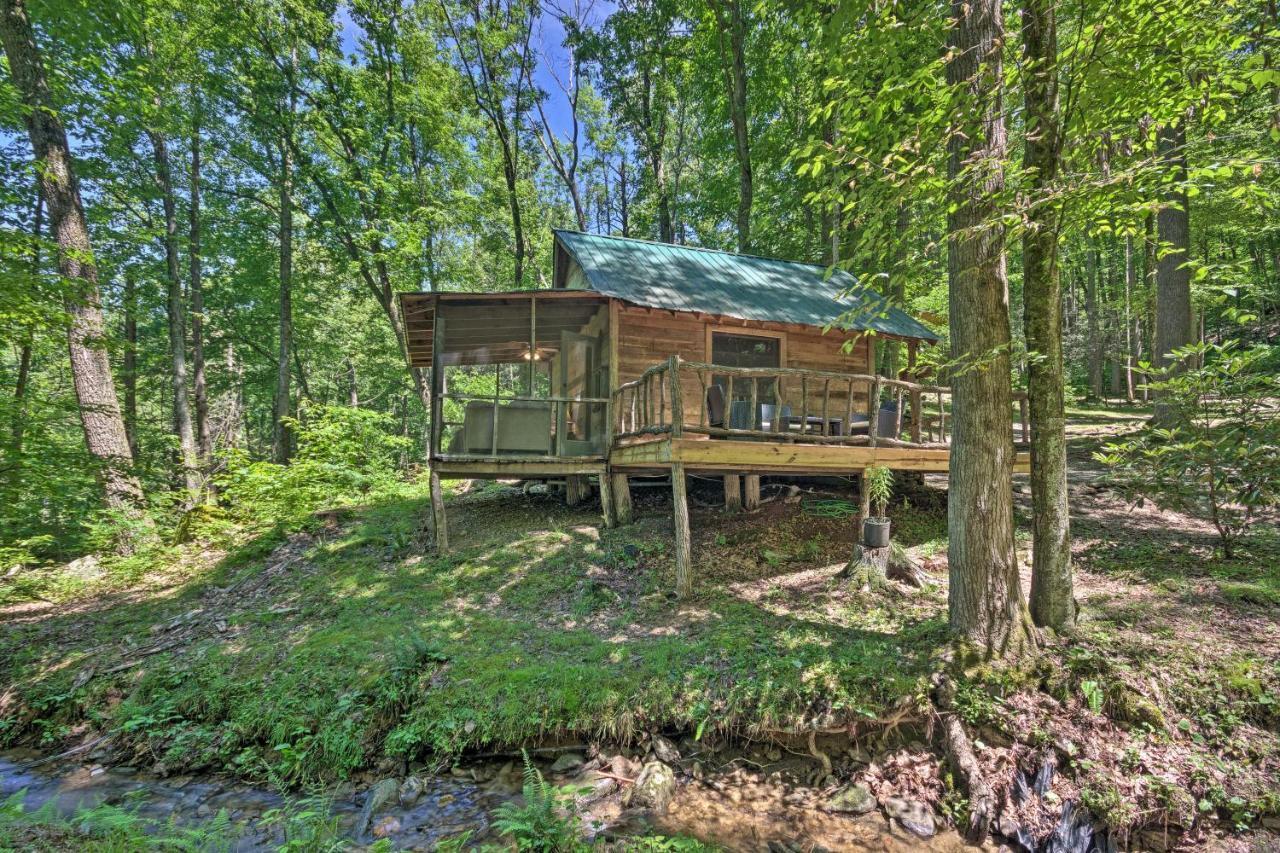 Creekside Cabin With Deck In Pisgah Forest! Barnardsville Ngoại thất bức ảnh