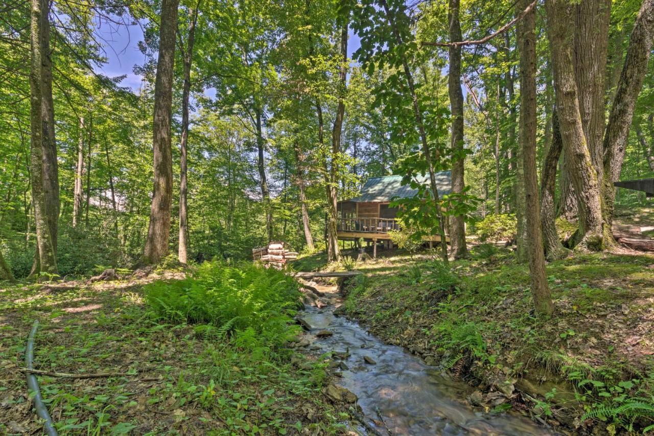 Creekside Cabin With Deck In Pisgah Forest! Barnardsville Ngoại thất bức ảnh