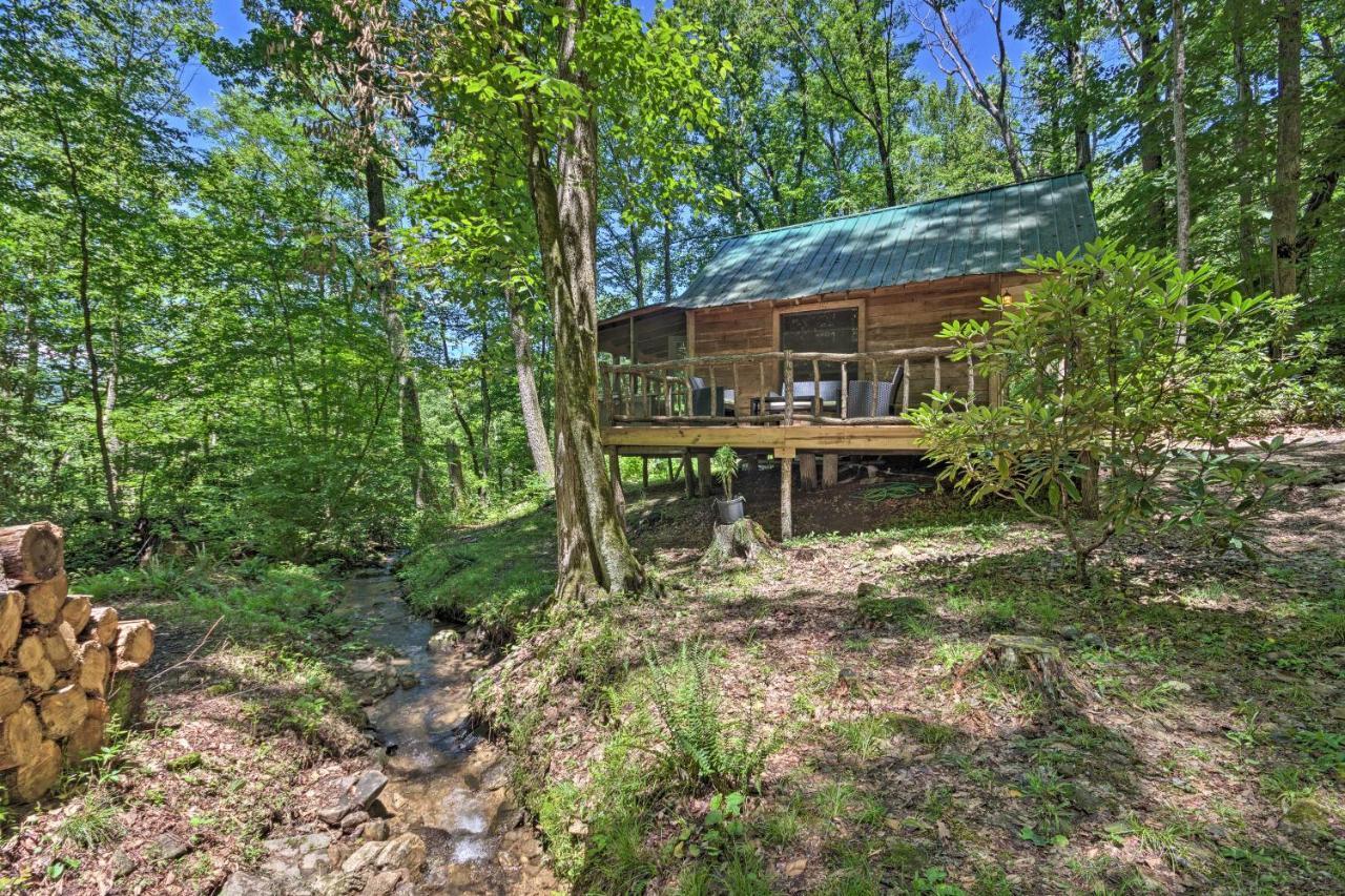 Creekside Cabin With Deck In Pisgah Forest! Barnardsville Ngoại thất bức ảnh