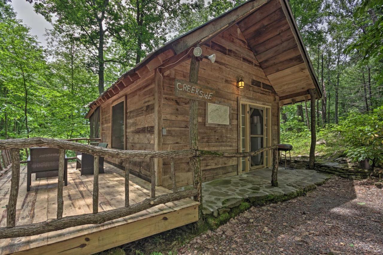 Creekside Cabin With Deck In Pisgah Forest! Barnardsville Ngoại thất bức ảnh