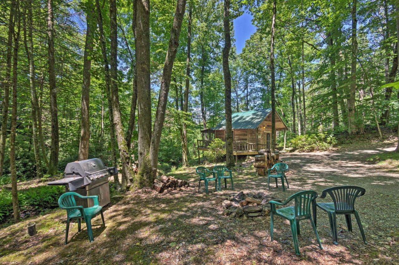Creekside Cabin With Deck In Pisgah Forest! Barnardsville Ngoại thất bức ảnh