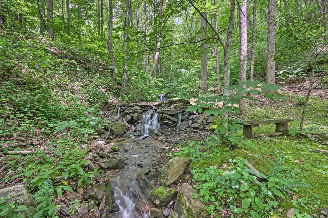 Creekside Cabin With Deck In Pisgah Forest! Barnardsville Ngoại thất bức ảnh